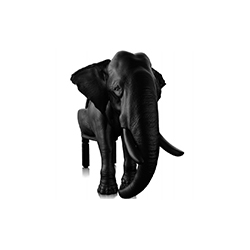 大象椅 Elephant  Chair 马克西姆·里埃拉 Maximo Riera
