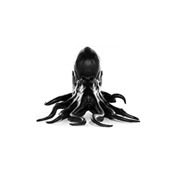 章鱼椅 Octopus Chair 马克西姆·里埃拉 Maximo Riera