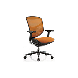 金卓中班椅系列 ENJOY office chair  