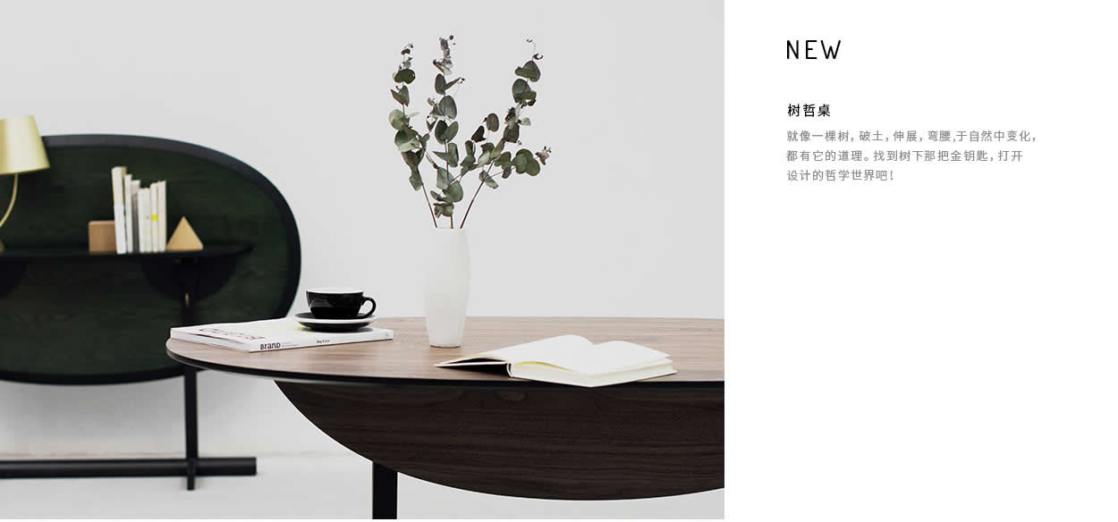 盘点中国的设计师家具品牌